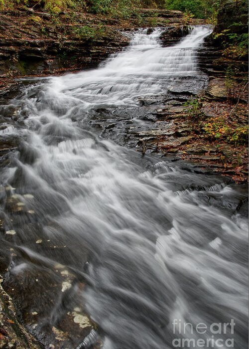 Hike Greeting Card featuring the photograph Stinging Fork Falls 27 by Phil Perkins