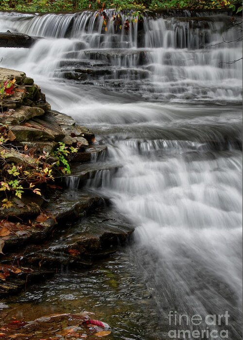 Hike Greeting Card featuring the photograph Stinging Fork Falls 33 by Phil Perkins