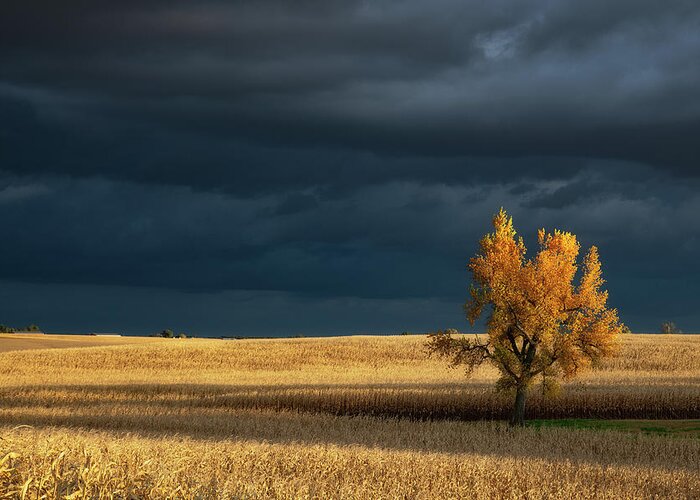 Nebraska Greeting Card featuring the photograph Storm over the Nebraska Plains by Darren White