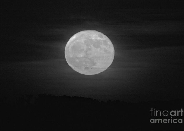 Strawberry Greeting Card featuring the photograph Strawberry Moon Over The Chesapeake Bay Black And White by Adam Jewell
