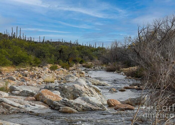 Stream In Catalina Mountains Greeting Card featuring the digital art Stream in Catalina Mountains by Tammy Keyes