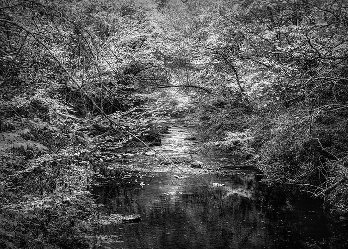 Stream Greeting Card featuring the photograph Stream in the Smoky Mountains Autumn Black and White by Debra and Dave Vanderlaan