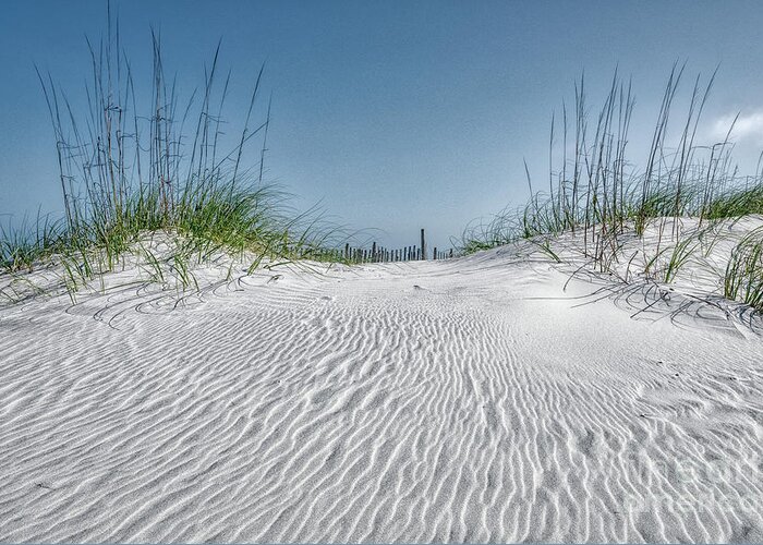 Pawley's Island Greeting Card featuring the photograph Striations by Rebecca Caroline Photography