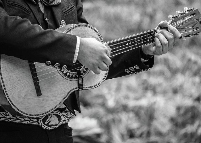 Mexican Vihuela Greeting Card featuring the photograph Strumming Along by KC Hulsman