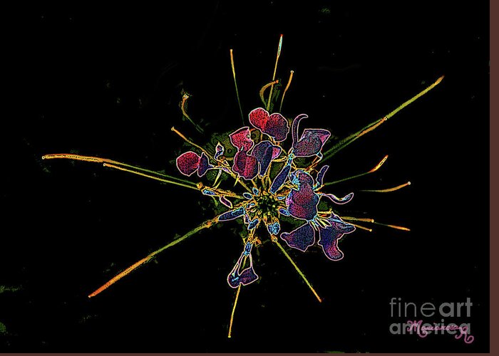 Digital Greeting Card featuring the digital art Stylized Cleome by Mariarosa Rockefeller