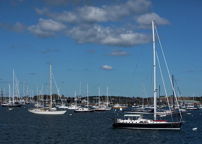 Newport Harbor Greeting Card featuring the photograph Summer at the Harbor by Karol Livote