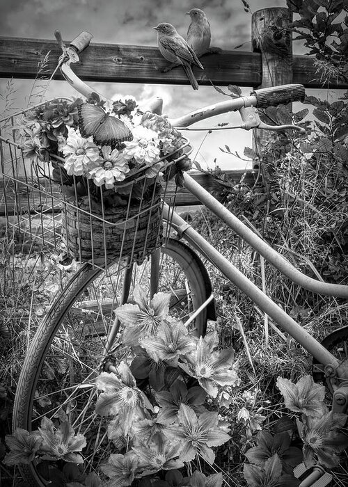 Barns Greeting Card featuring the photograph Summer Breeze on a Bicycle Black and White by Debra and Dave Vanderlaan