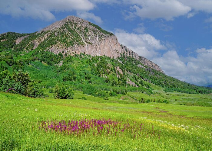 Crrested Butte Greeting Card featuring the photograph Summer Days in Mount Crested Butte by Lynn Bauer