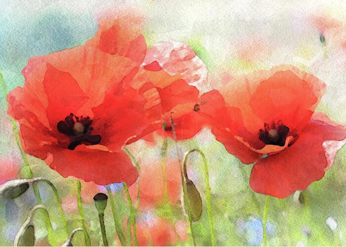 Summer Poppies Greeting Card featuring the painting Summer Poppies by Susan Maxwell Schmidt