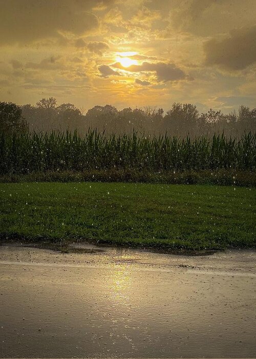  Greeting Card featuring the photograph Sun rain clouds corn by Kendall McKernon