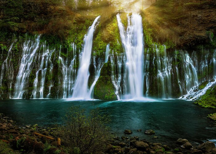 Burney Falls Greeting Card featuring the photograph Sunbeams at Burney Falls by Don Hoekwater Photography