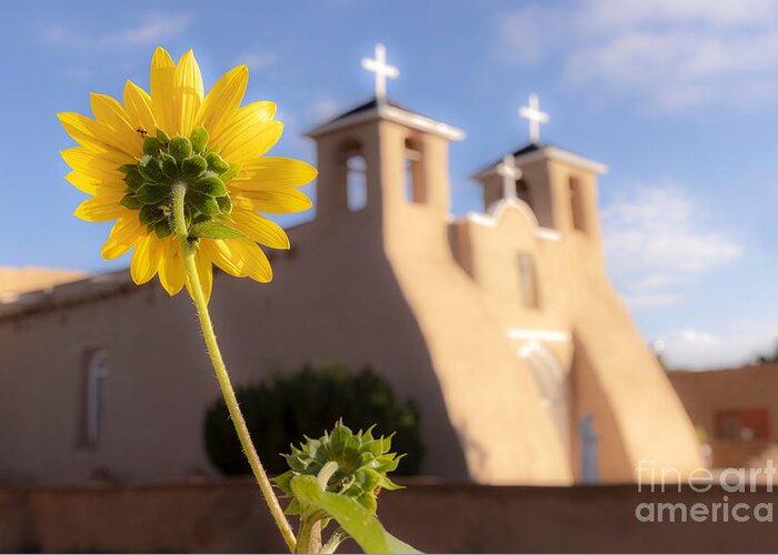 Taos Greeting Card featuring the photograph Sunflower and the St Francis de Asis Church by Elijah Rael