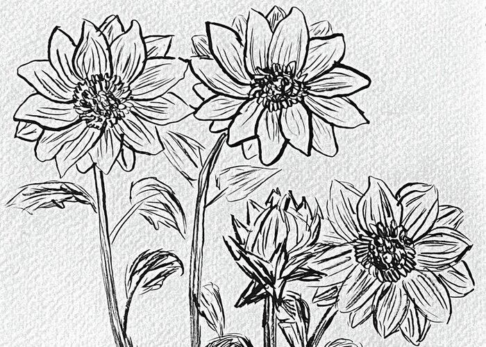 Sunflowers Greeting Card featuring the drawing Sunflower Sketch by Lisa Neuman