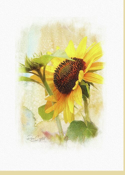 Sunflowers Greeting Card featuring the photograph Sunflower Sunshine by Rene Crystal