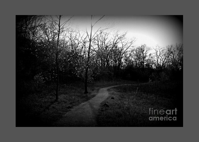 Nature Greeting Card featuring the photograph Sunlight Through The Trees - Holga Effect by Frank J Casella
