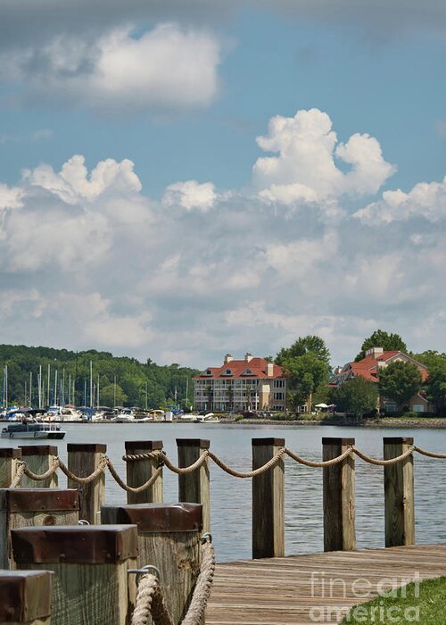 Norman Greeting Card featuring the photograph Sunny Day on Lake Norman by Amy Dundon