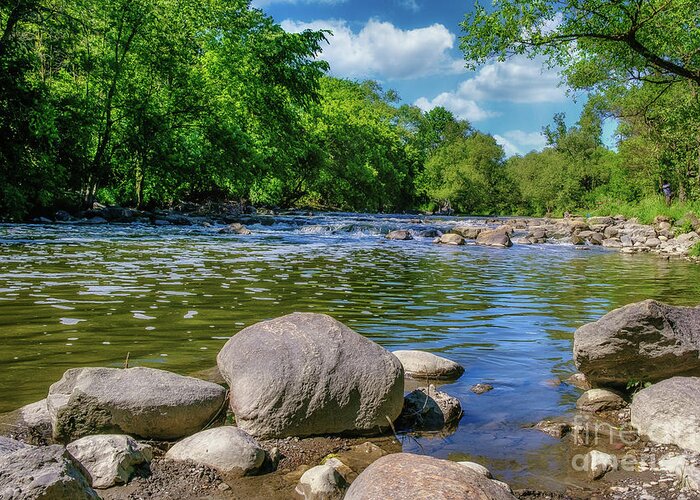 Landscape Greeting Card featuring the photograph Sunny Day Stream, Landscape Photograph by Stephen Geisel