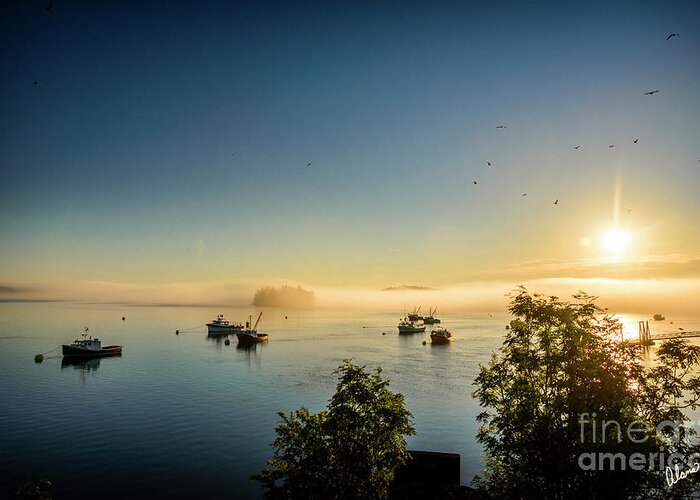 Eastern Most Point Of Usa Greeting Card featuring the photograph Sunrise and Seagulls by Alana Ranney