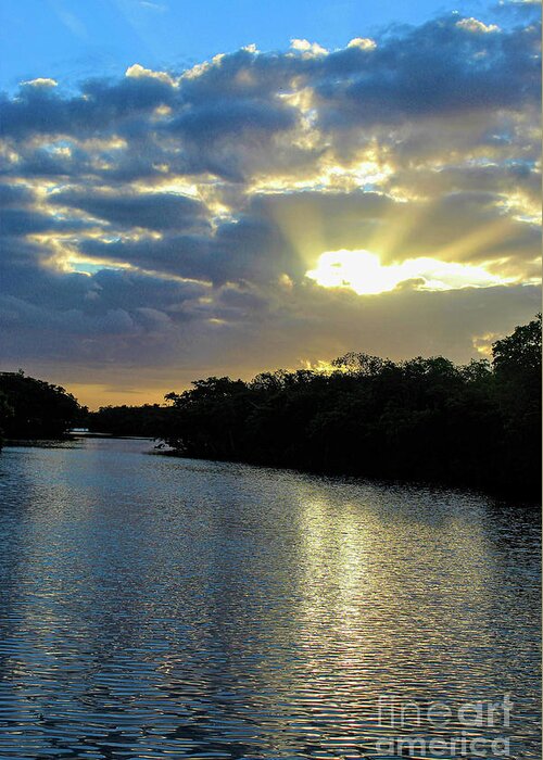 Sunrise Greeting Card featuring the photograph Sunrise at Ponce De Leon Park by Joanne Carey