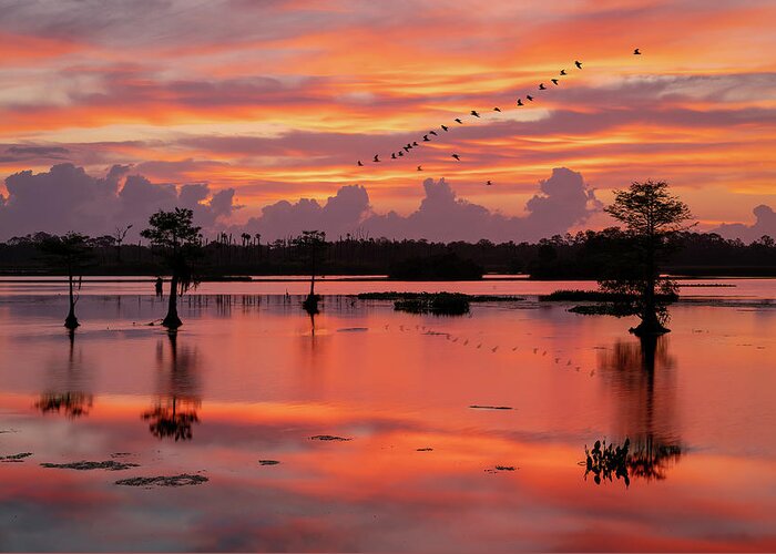 Christmas Greeting Card featuring the digital art Sunrise at the Wetlands by Kevin McClish