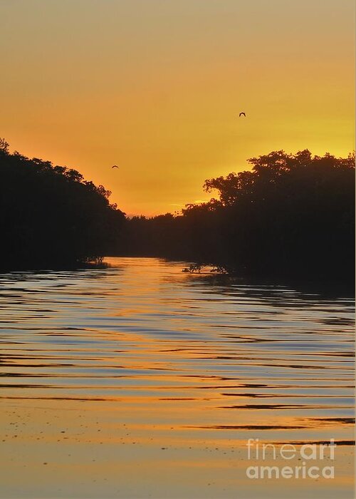 Sunrise Greeting Card featuring the photograph Sunrise Water Reflections by Joanne Carey