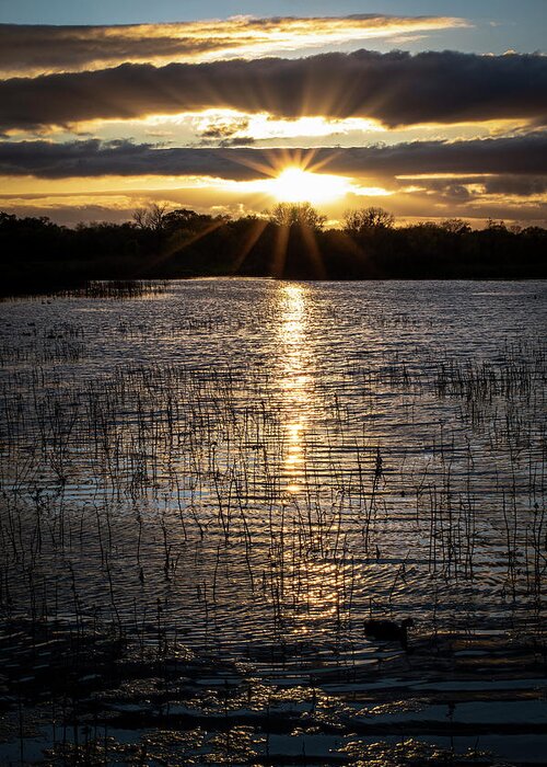 Sunset Greeting Card featuring the photograph Sunset at Cosumnes River Preserve by Gary Geddes