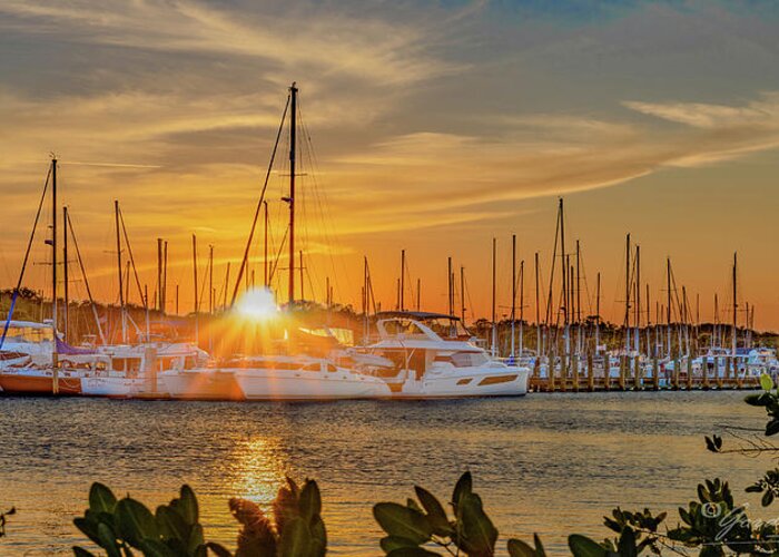 Titusville Greeting Card featuring the photograph Sunset at the Harbor by Gordon Elwell