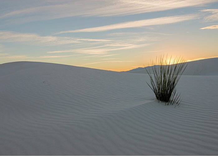 Loree Johnson Photography Greeting Card featuring the photograph Sunset at White Sands NM by Loree Johnson