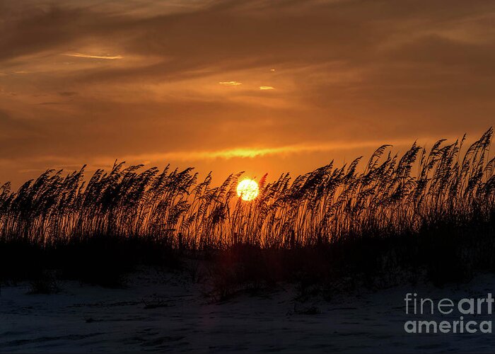 Sunset Greeting Card featuring the photograph Sunset Behind the Sand Dunes by Beachtown Views