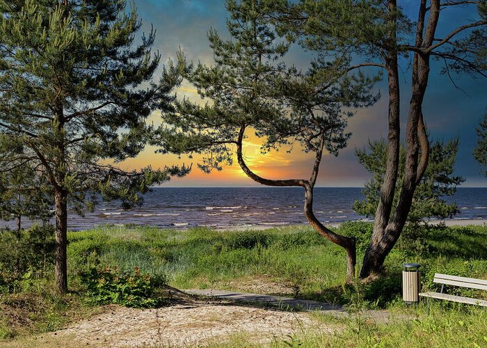 Golden Light Greeting Card featuring the photograph Sunset In My Jurmala Latvia by Aleksandrs Drozdovs