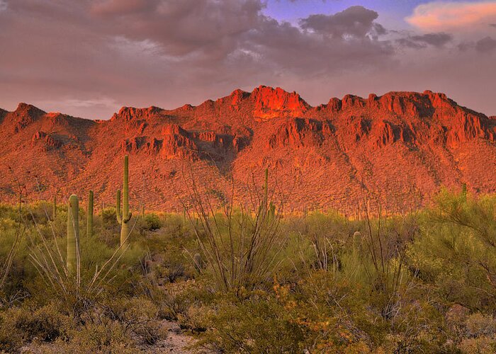 Tucson Greeting Card featuring the photograph Sunset light on the Tucson Mountains, Arizona by Chance Kafka