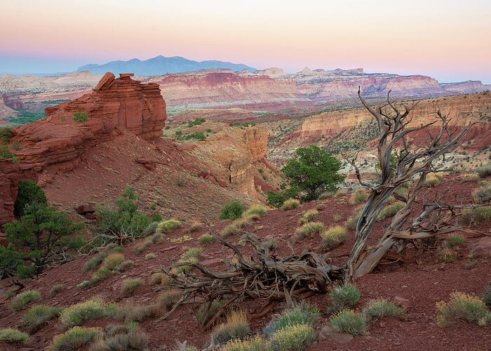 Utah Greeting Card featuring the photograph Sunset on Capitol Reef by Aaron Spong
