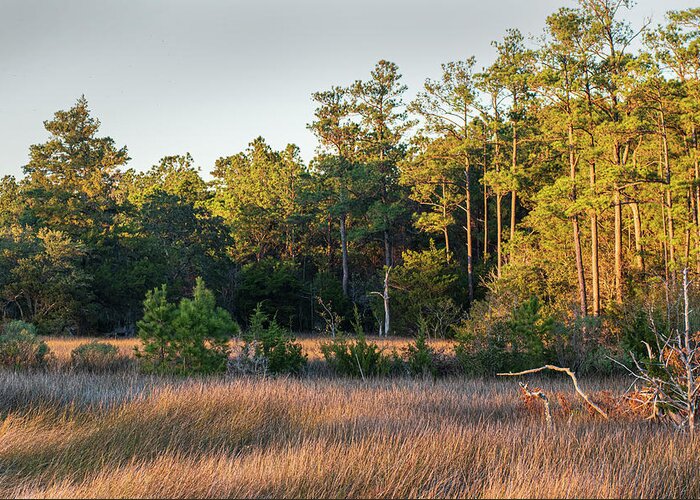 Sunset Greeting Card featuring the photograph Sunset on Core Creek Marsh in North Carolina by Bob Decker