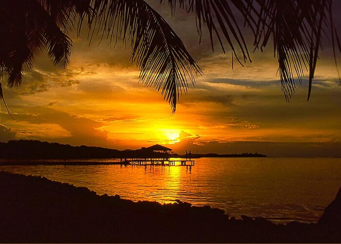 Sunset Greeting Card featuring the photograph Sunset on Roatan by Stephen Anderson