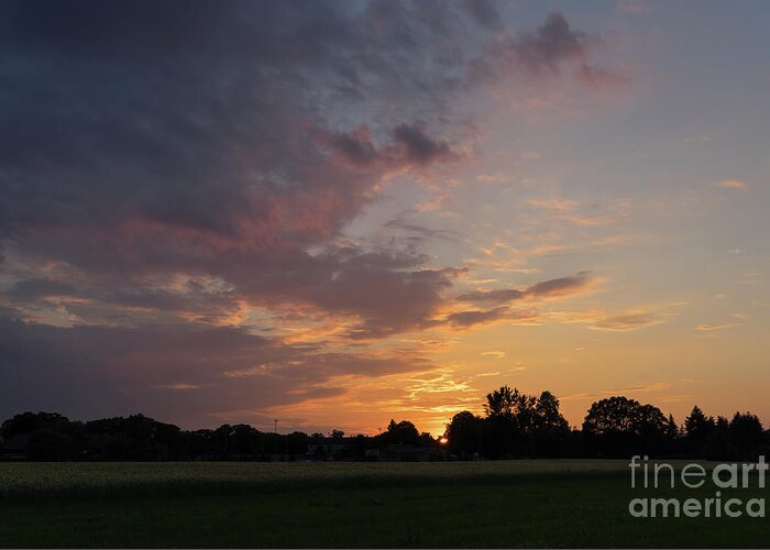 Sunset Greeting Card featuring the photograph Sunset at the edge of the forest 2 by Adriana Mueller