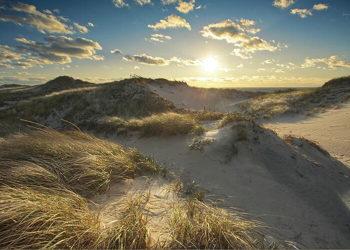 Sunset Greeting Card featuring the photograph Sunset over Cape Cod Dunes at Great Island Beach Wellfleet by Darius Aniunas