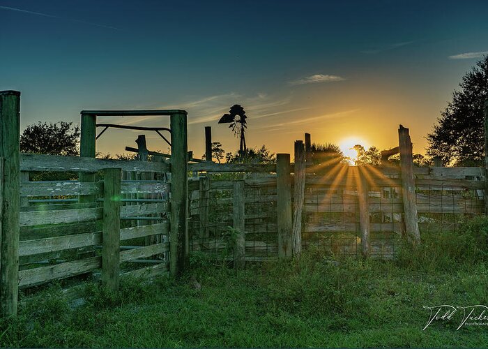 Indiantown Greeting Card featuring the photograph Sunset Over Cow Town III by Todd Tucker