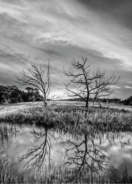 Clouds Greeting Card featuring the photograph Sunset Salty Marsh at Jekyll Island Black and White by Debra and Dave Vanderlaan