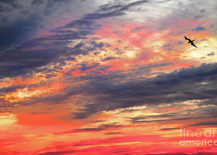 Nature Greeting Card featuring the photograph Sunset Sky by Mariarosa Rockefeller