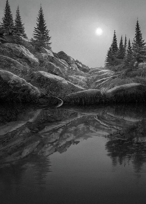 Sunset Spruces Reflections Greeting Card featuring the photograph Sunset Spruces Reflections BW by Frank Wilson
