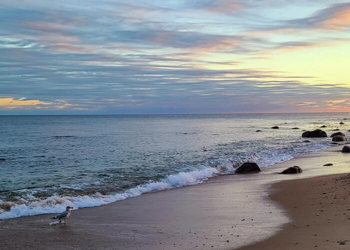Sunsets Shorelines And Seashells Greeting Card featuring the photograph Sunsets Shorelines and Seashells by Christina McGoran