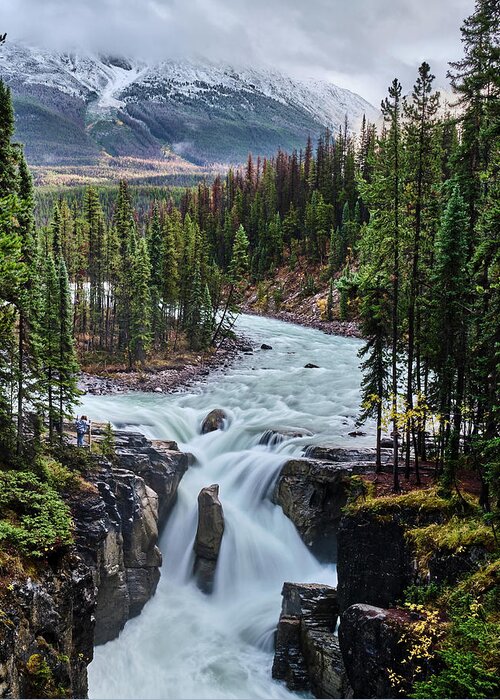 Voyage Jasper Banff 2021 Greeting Card featuring the photograph Sunwapta Falls Jasper by Carl Marceau