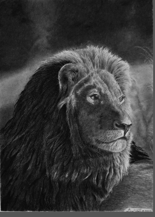 Lion Greeting Card featuring the drawing Survey by Greg Fox