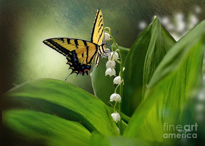 Butterfly Butterfly On Flower Greeting Card featuring the mixed media Swallowtail on Lily of the Valley by Morag Bates