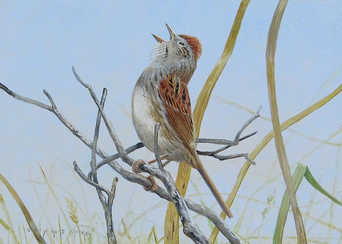Swamp Sparrow Greeting Card featuring the painting Swamp Sparrow Singing by Barry MacKay