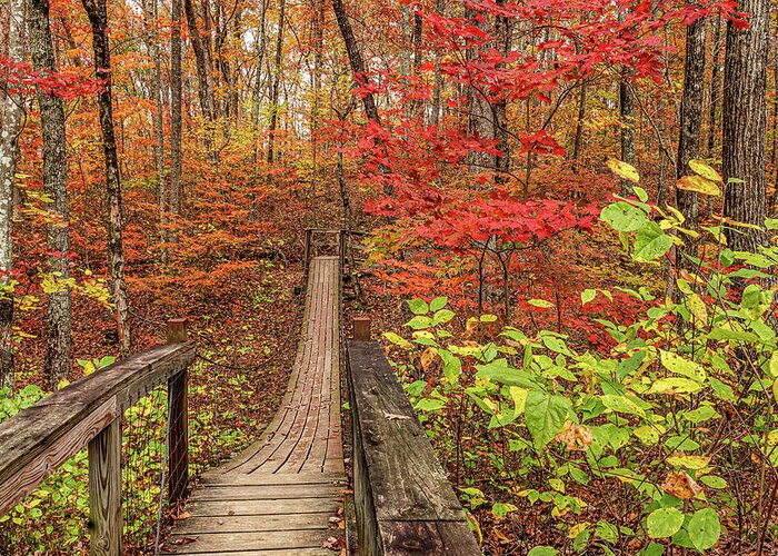 Cory Greeting Card featuring the photograph Swinging Bridge in Autumn by Tom and Pat Cory