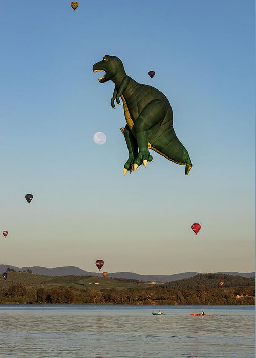 Canberra Greeting Card featuring the photograph T-Rex by Ari Rex