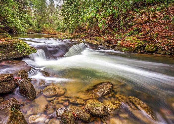 Creek Greeting Card featuring the photograph Water In Motion by Ed Newell
