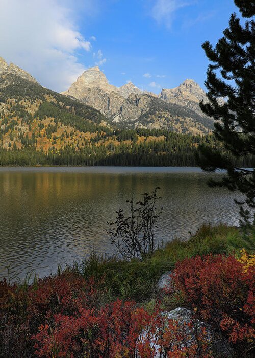 Taggart Lake In Autumn Greeting Card featuring the photograph Taggart Lake In Autumn by Dan Sproul