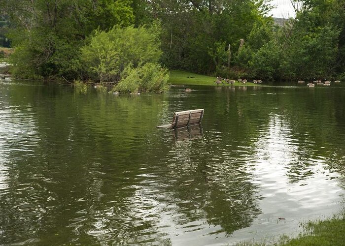 Take A Seat Greeting Card featuring the photograph Take A Seat by Tom Cochran